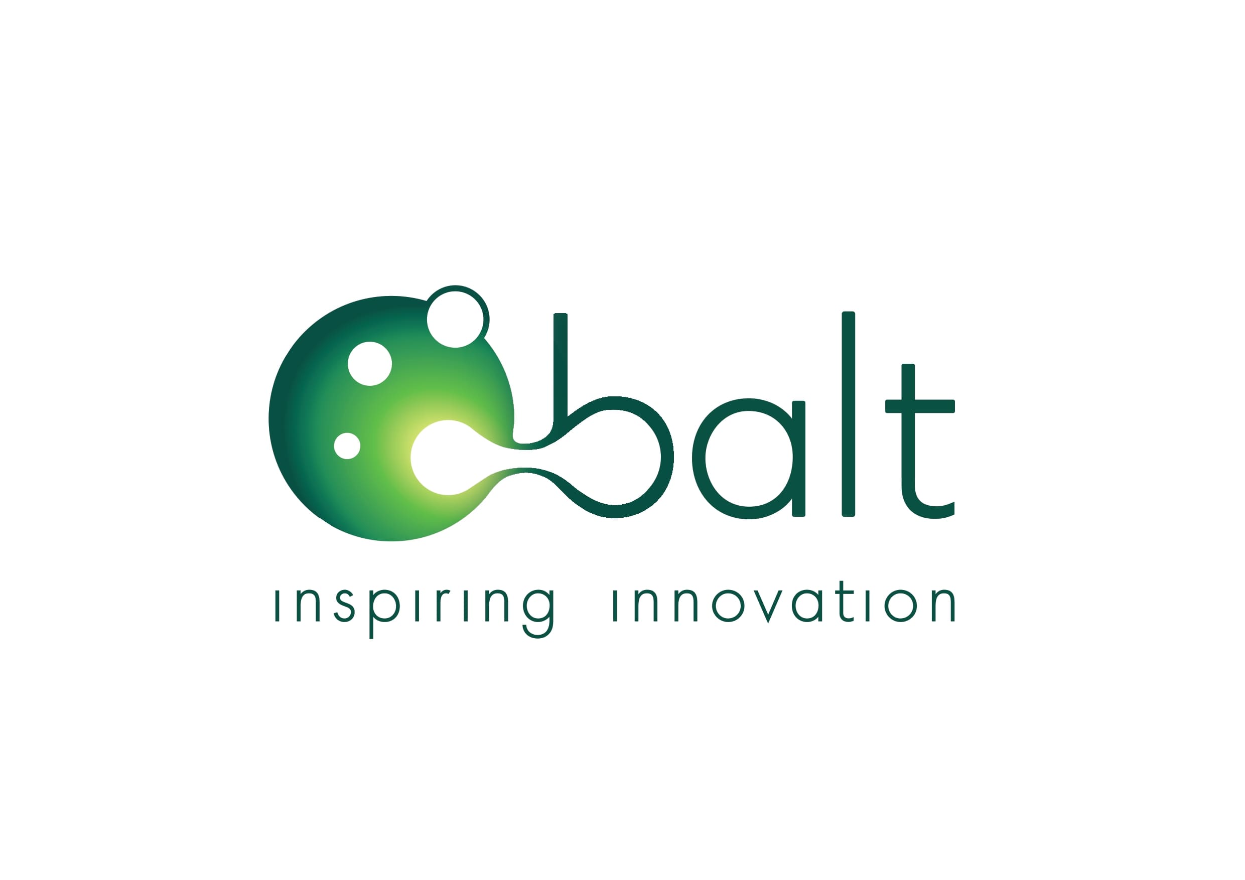 BALT ITALY S.R.L